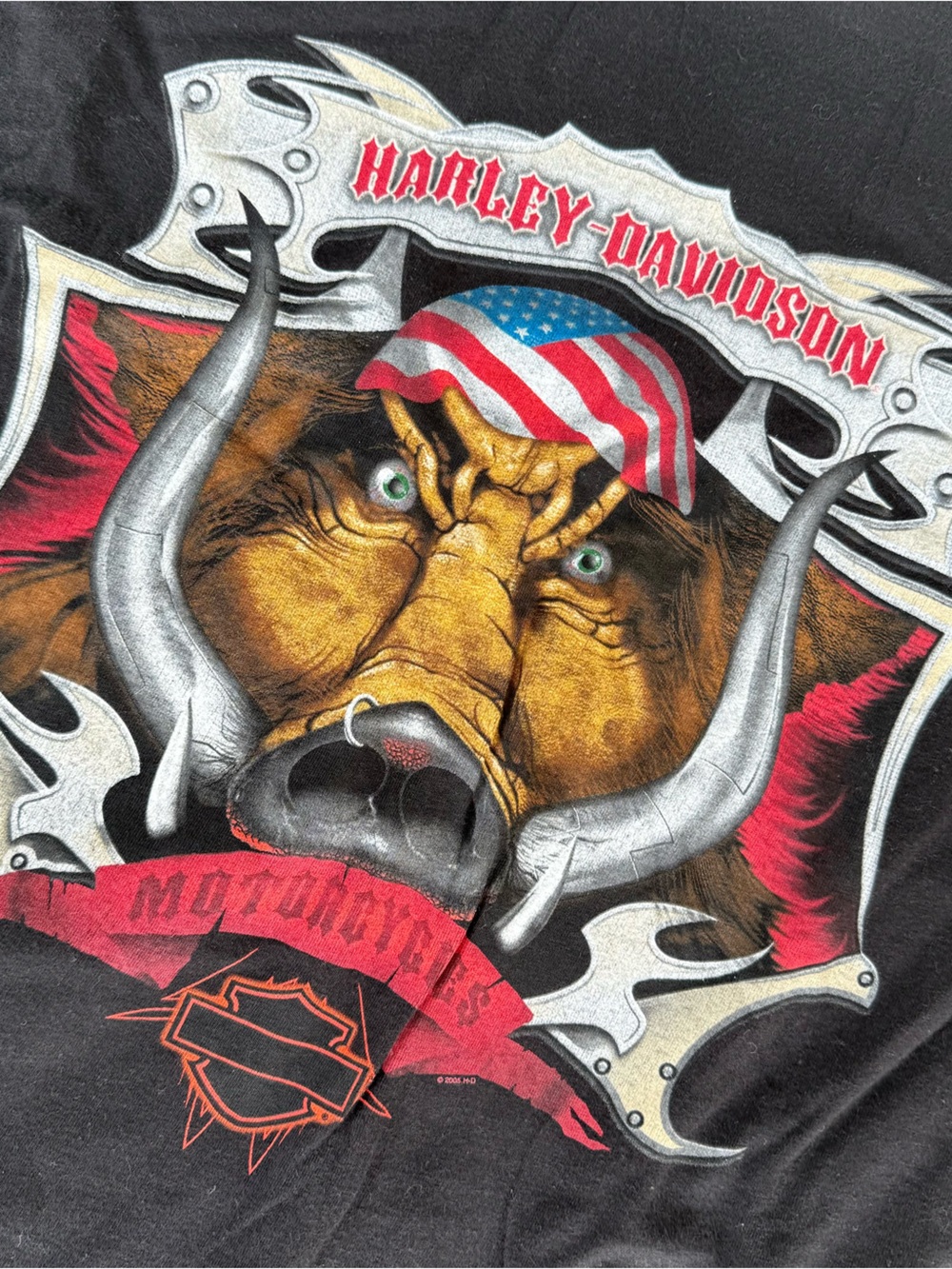 Harley Davidson Warthog Flames Tee 2012 Size XXL Bruce rossmeyer’s Daytona